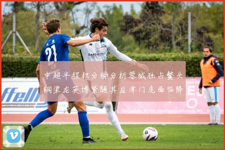 中超半程积分榜分析蓉城独占鳌头铜梁龙英博紧随其后津门虎面临降级危机