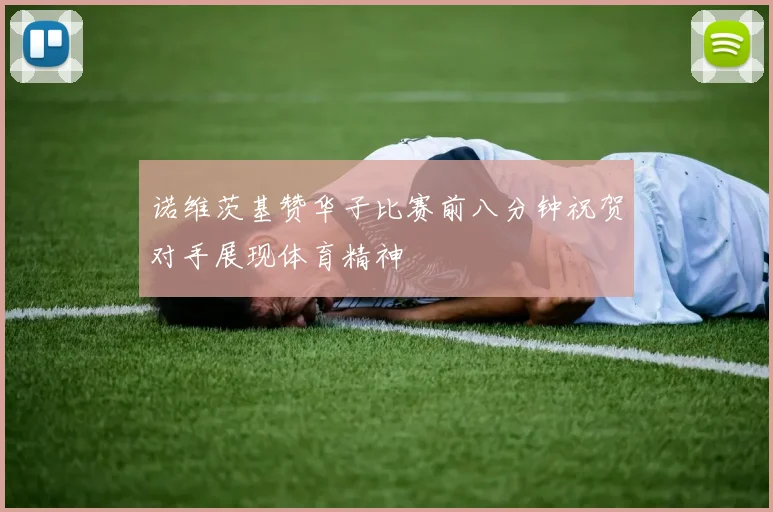 诺维茨基赞华子比赛前八分钟祝贺对手展现体育精神